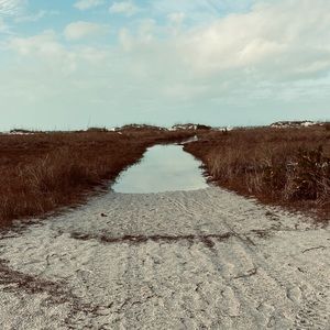 Meet your Posher, Sadie